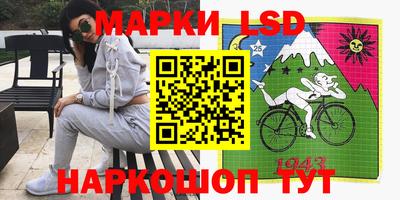 шишки Абинск