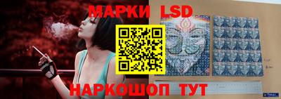 шишки Абинск