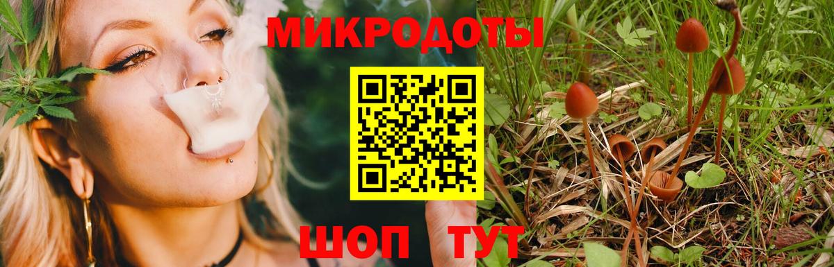 Галлюциногенные грибы мицелий  дарнет шоп  Абинск  Вход с VPN  Галлюциногенные грибы GOLDEN TEACHER 