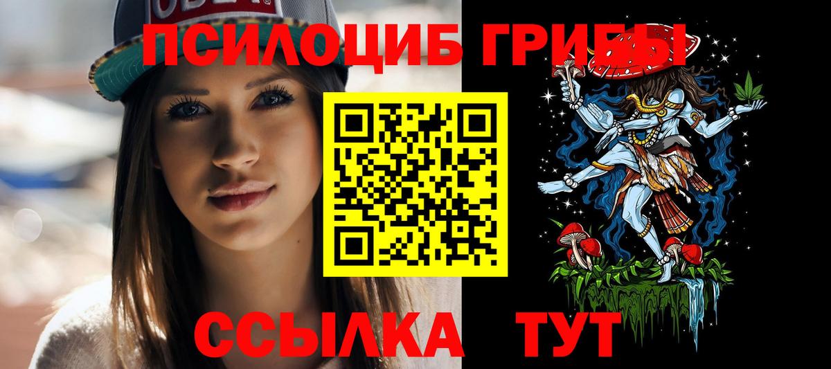Галлюциногенные грибы Psilocybine cubensis Абинск